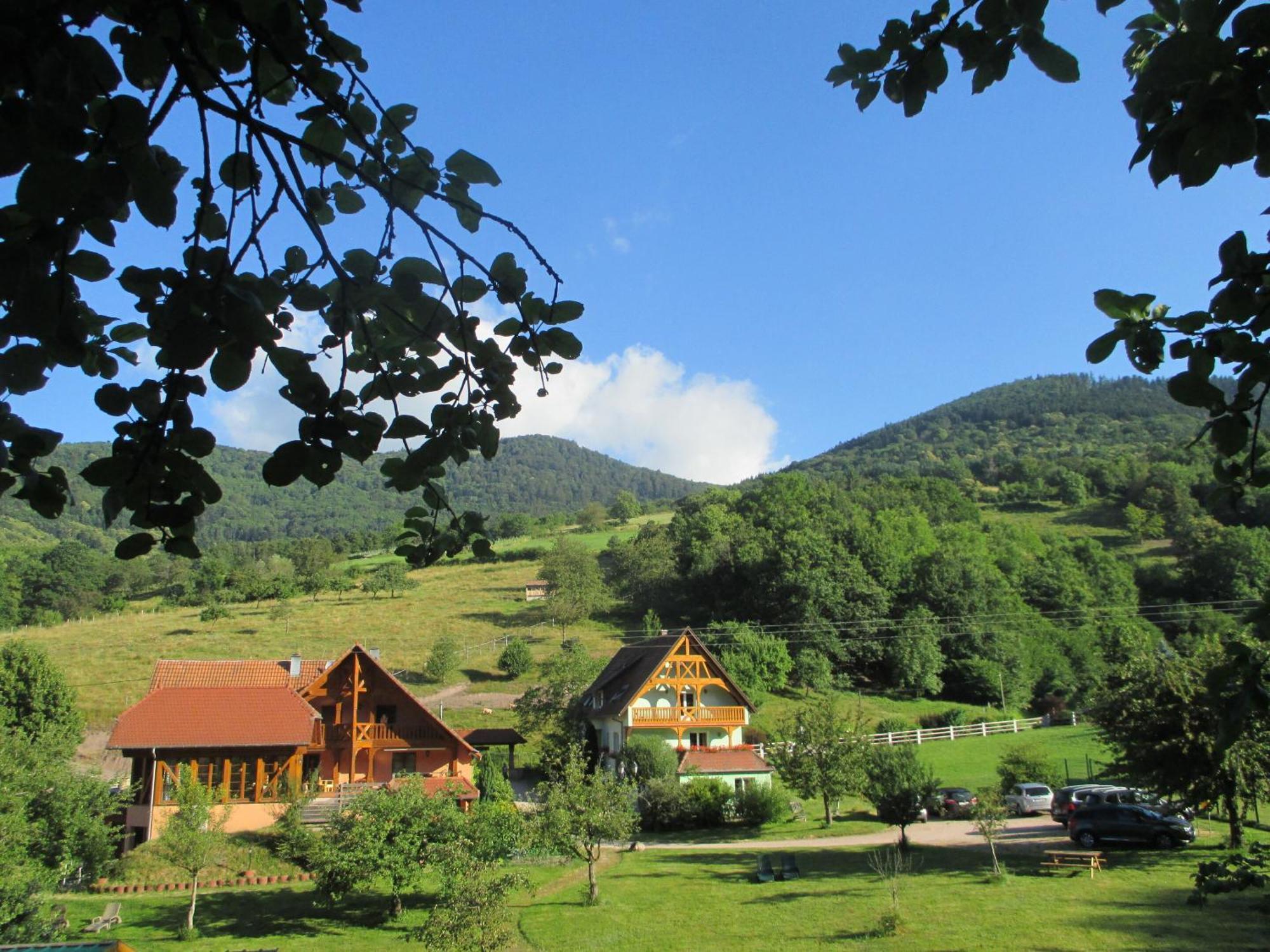 Les Gites La Cerisaie Breitenbach Cameră foto